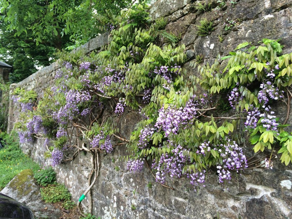Tor Royal Farm Hotel Princetown Esterno foto